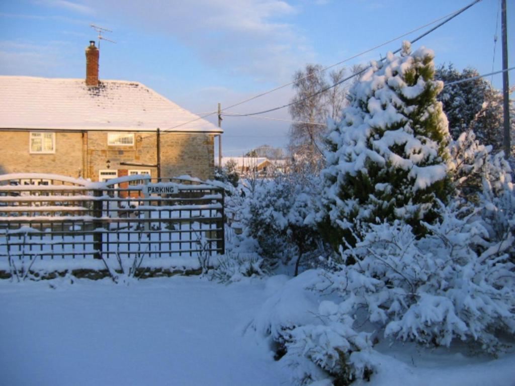 Quiet Woman House Bed and Breakfast Halstock Eksteriør billede