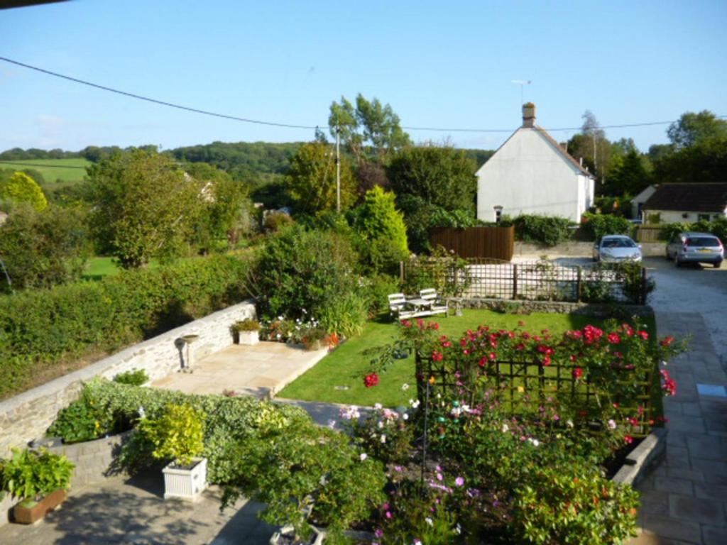 Quiet Woman House Bed and Breakfast Halstock Eksteriør billede